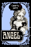 Book Cover of 'ANGEL' a novelette. Episode 1 in the Charity's Shop series.